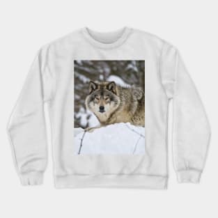 Grey Wolf Crewneck Sweatshirt